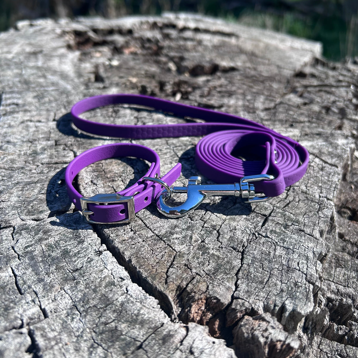 Waterproof PVC Puppy Collar & Lead Set - Save 10%