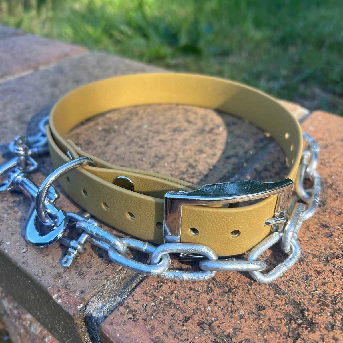 Working Dog Collar with Tie-Up Chain – HP D Ring