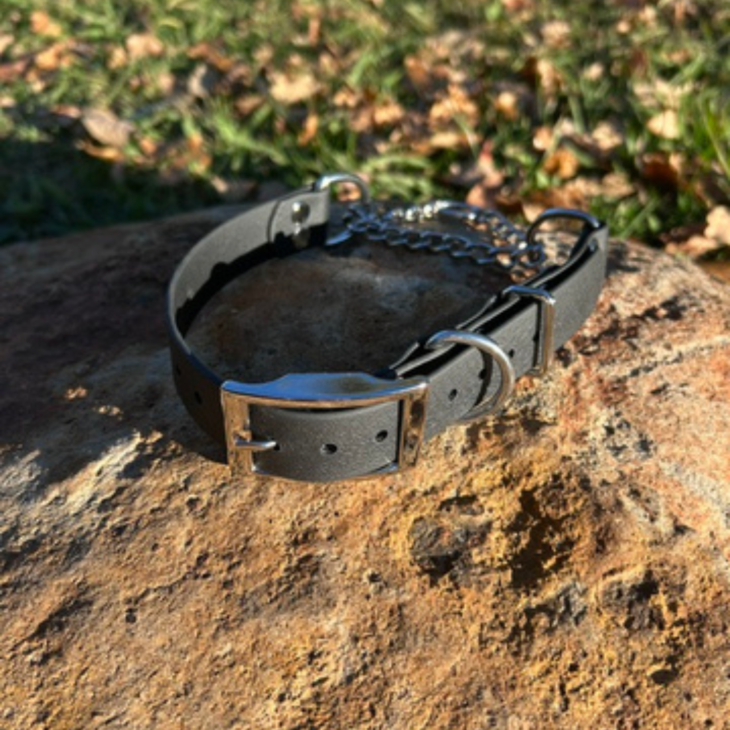 Waterproof Adjustable Martingale Dog Collar – No-Slip | Greyhound Whippet Sighthound