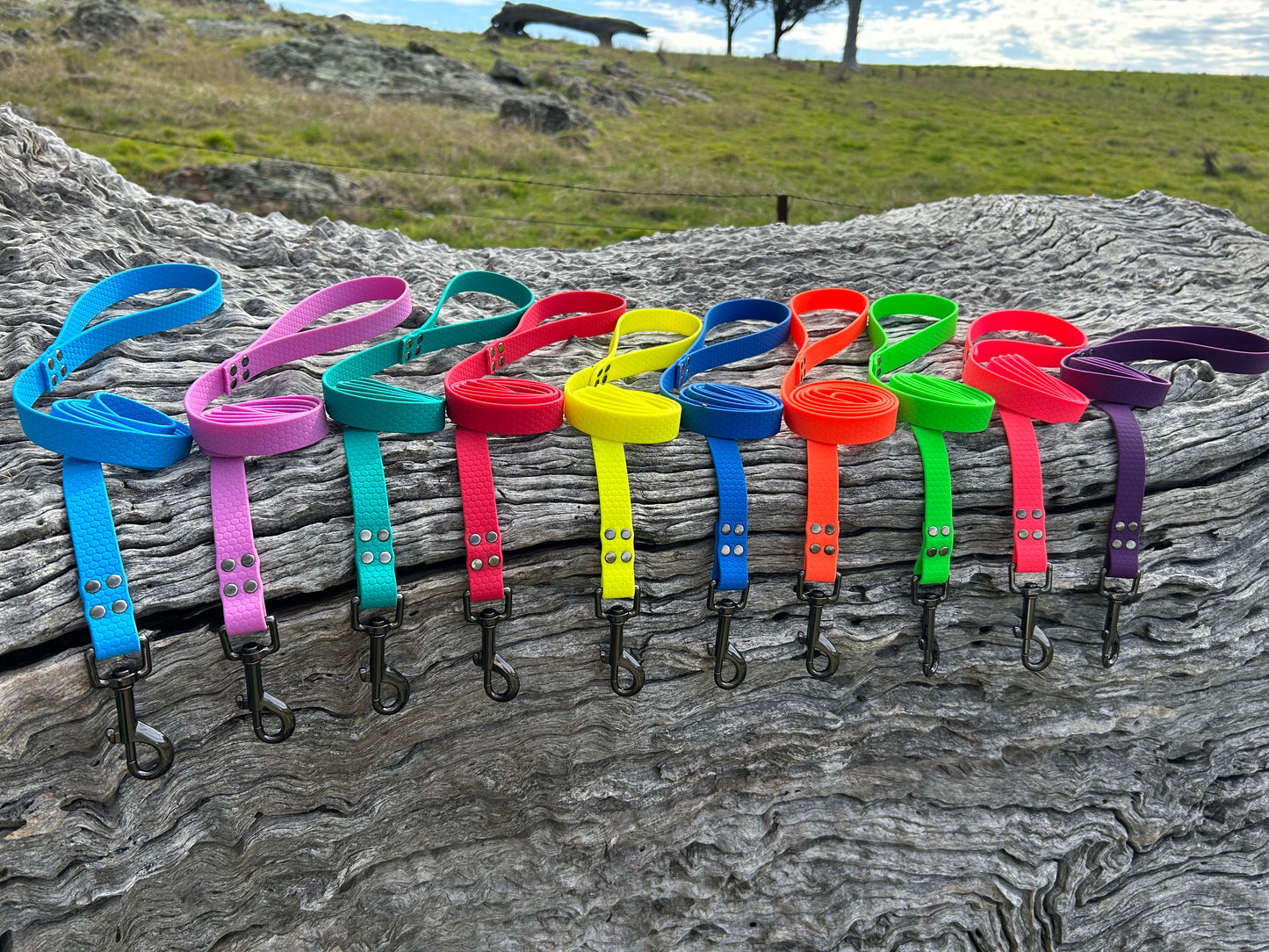 Waterproof Dog Lead – Heavy Duty PVC | Easy Clean, Australian Made