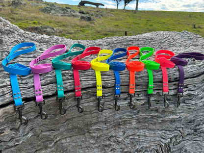 Waterproof Dog Lead – Heavy Duty PVC | Easy Clean, Australian Made