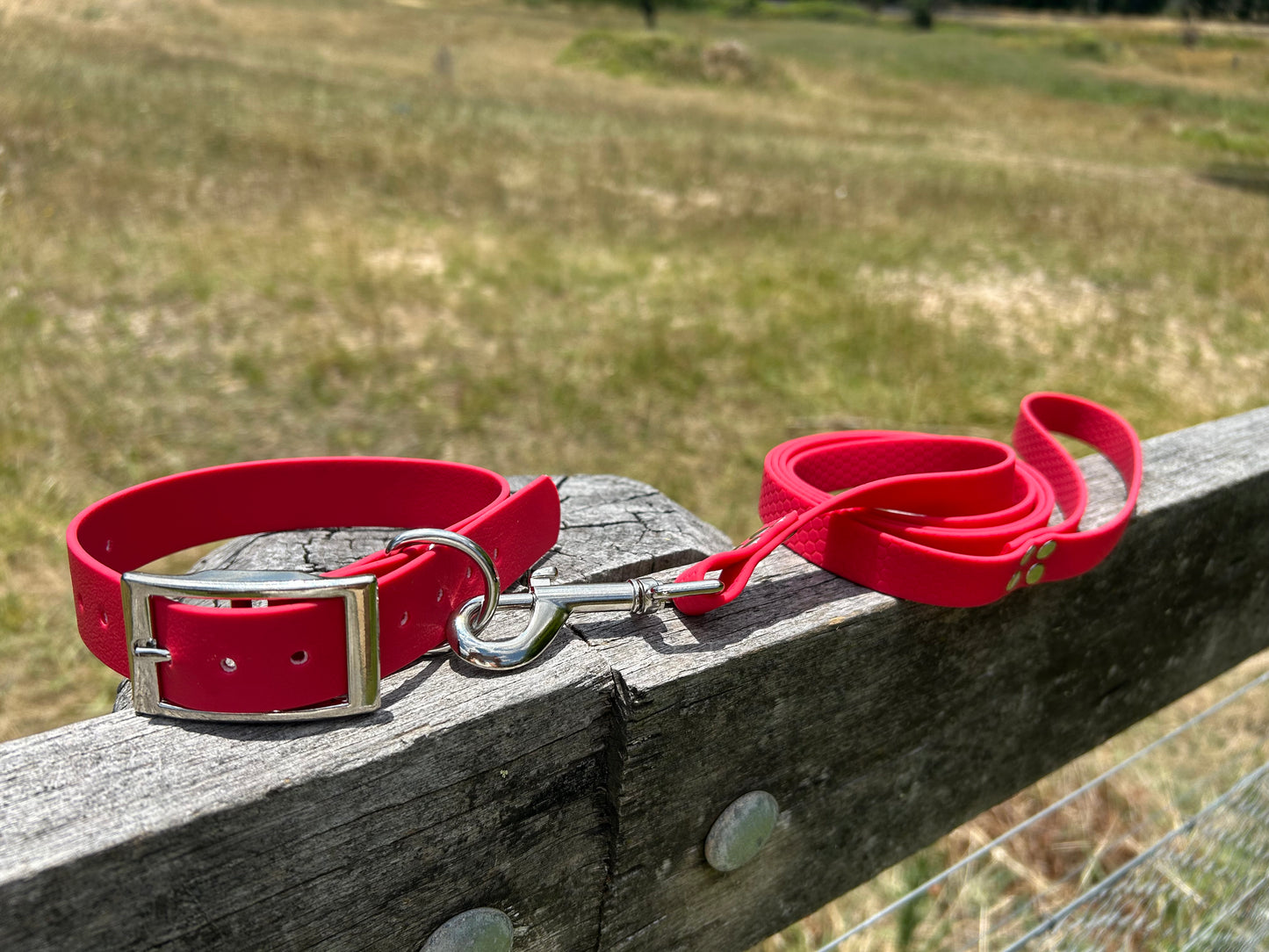Waterproof PVC Dog Collar and Lead Set – Save 10% | Handmade Australia
