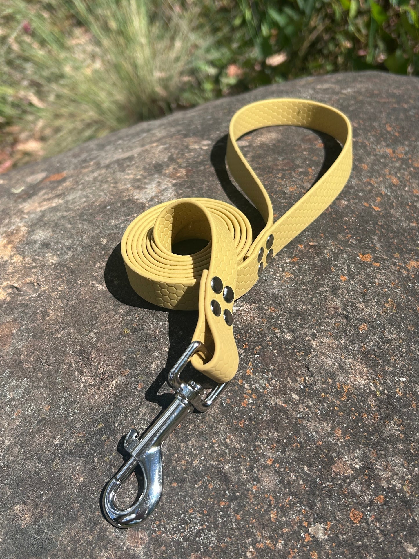 Waterproof Dog Lead – Heavy Duty PVC | Easy Clean, Australian Made