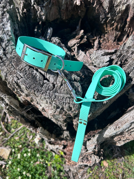 Waterproof Dog Collar & Lead Set – Heavy Duty