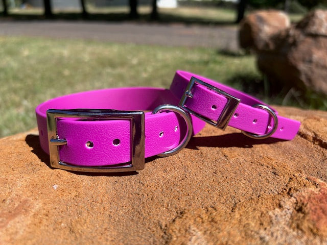 Waterproof Dog Collar – Heavy Duty PVC | Handmade in Australia