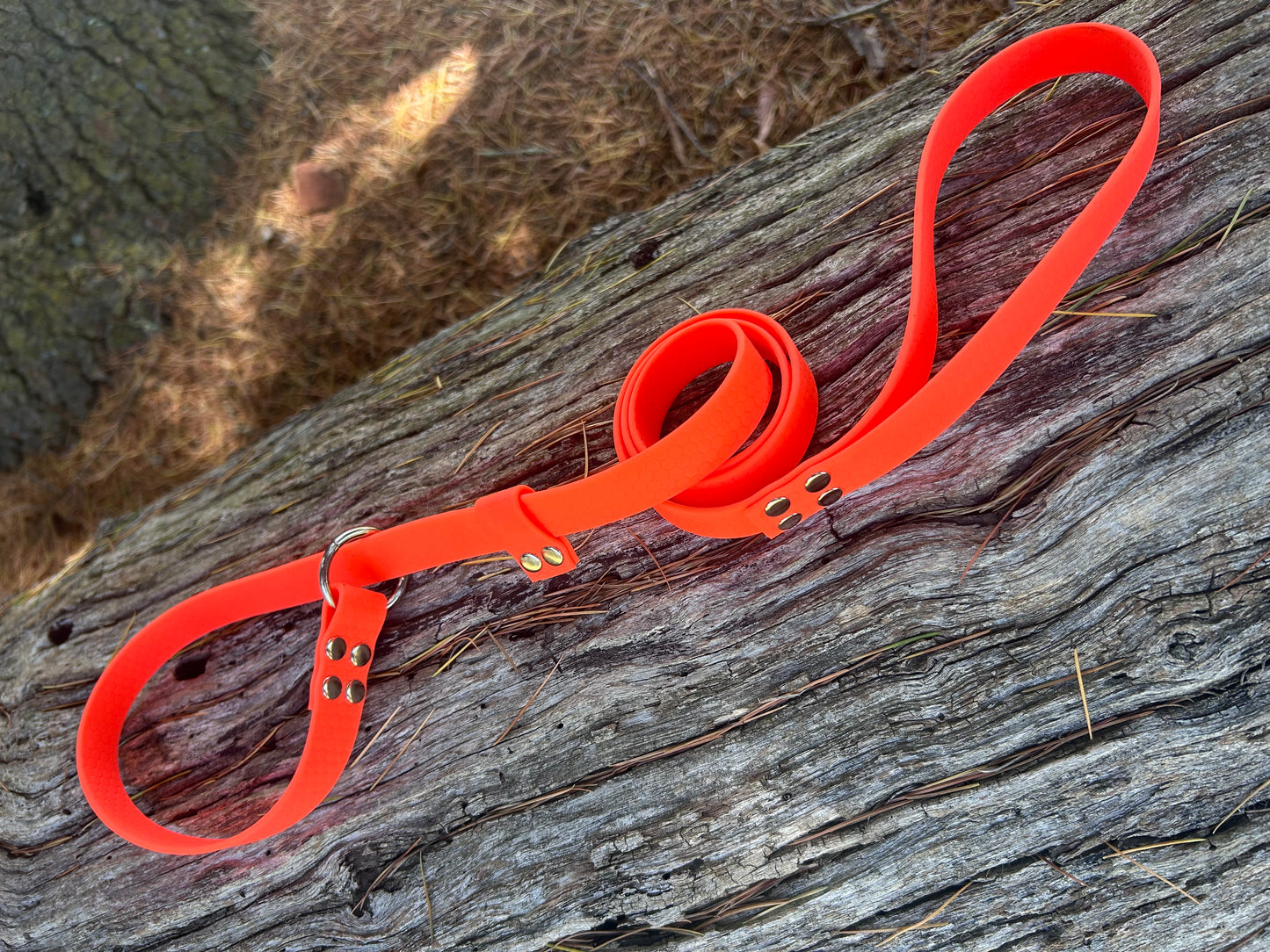 Waterproof Dog Slip Lead – 1.25m | Vet & Training Lead Australia