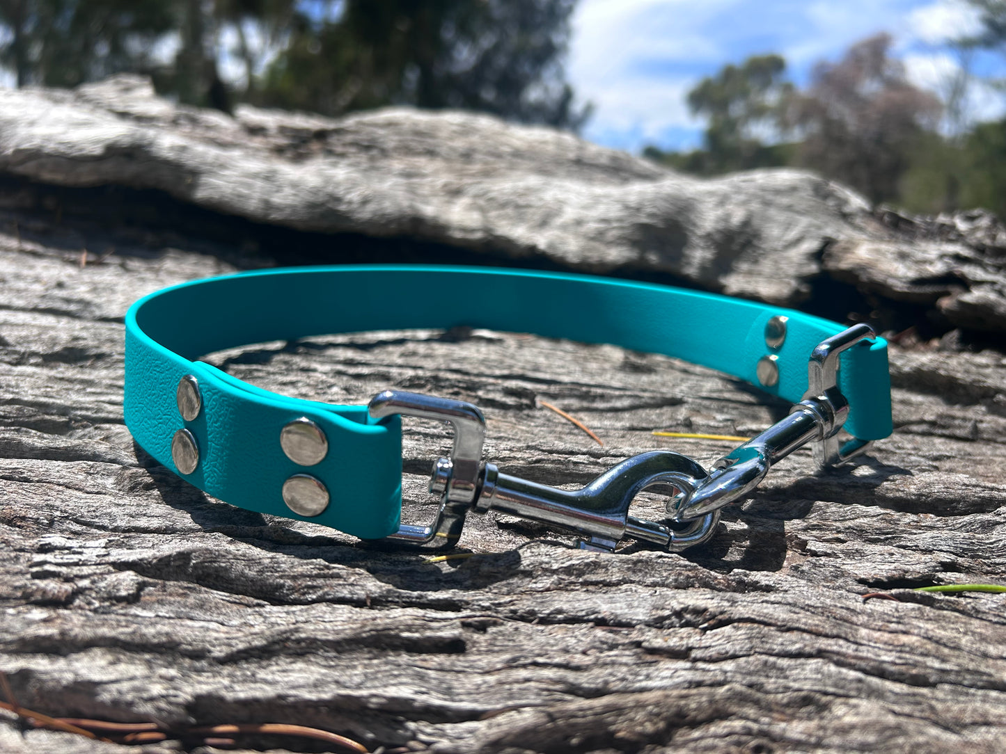 Waterproof Dog Ute Tie – Heavy Duty | Working Dog Ute Restraint Australia