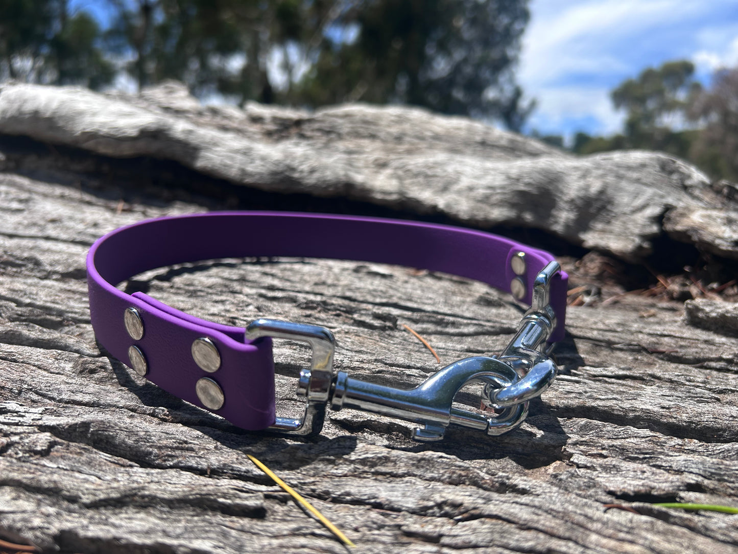 Waterproof Dog Ute Tie – Heavy Duty | Working Dog Ute Restraint Australia
