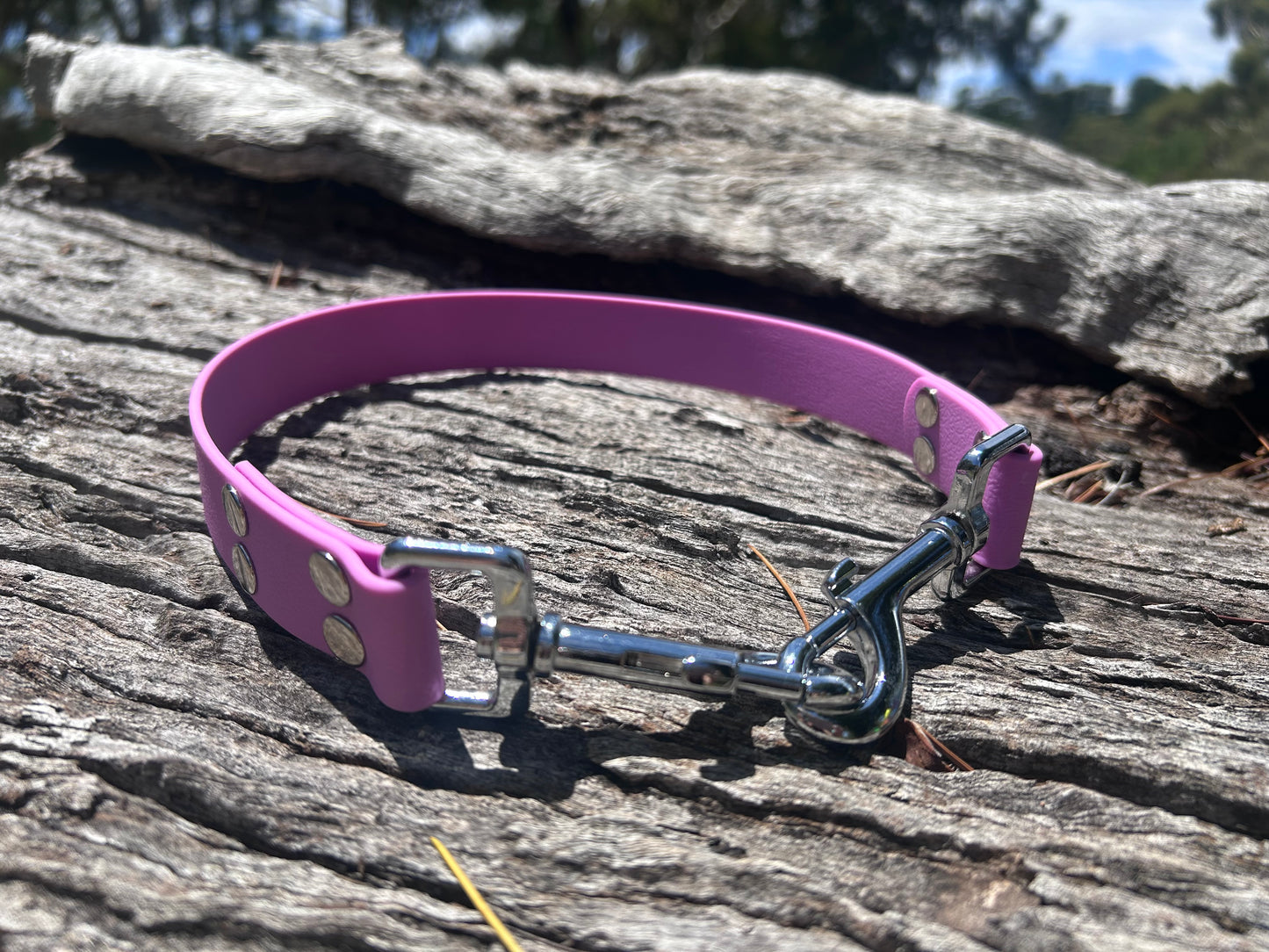 Waterproof Dog Ute Tie – Heavy Duty | Working Dog Ute Restraint Australia