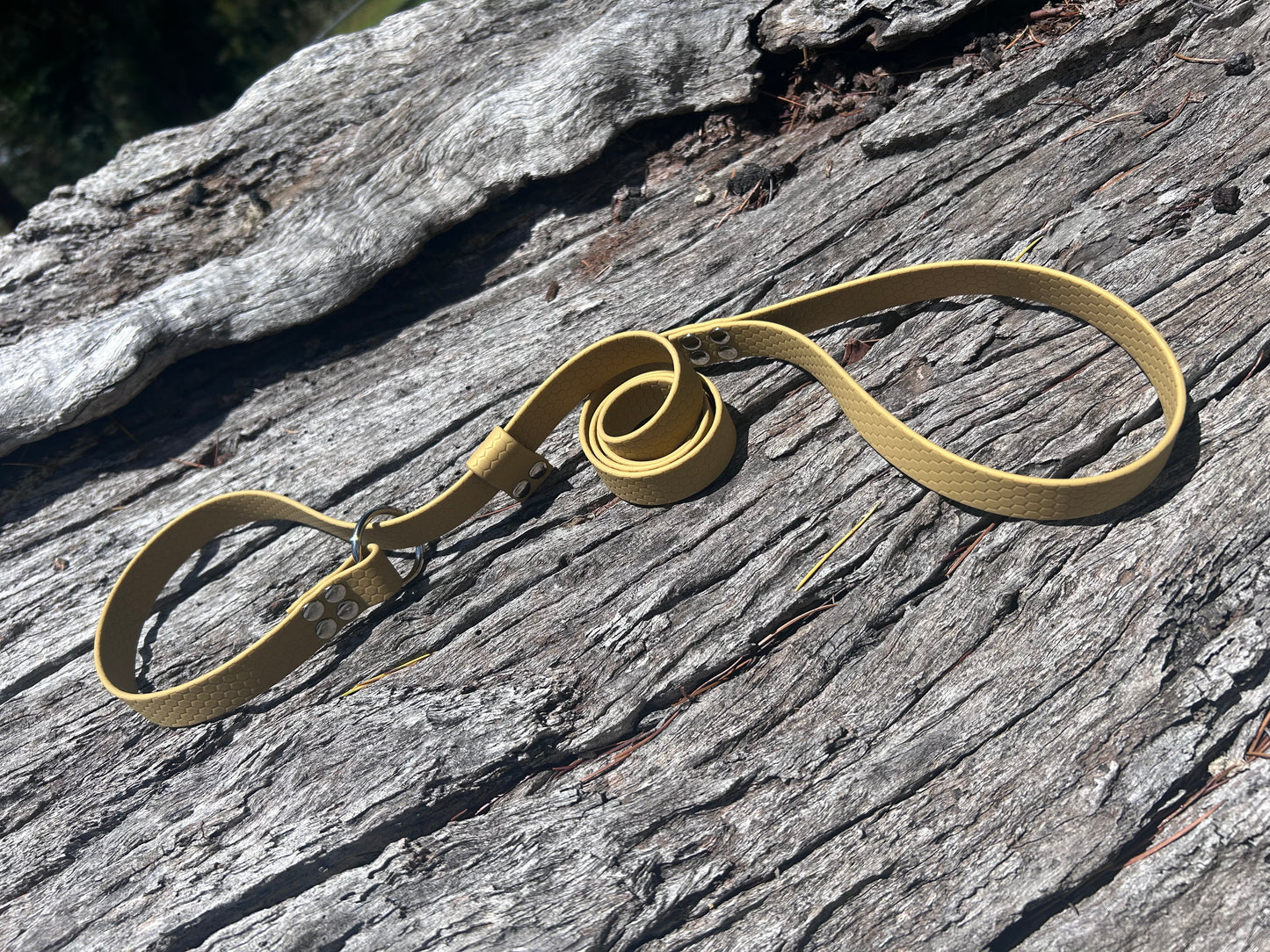 Waterproof Dog Slip Lead – 1.25m | Vet & Training Lead Australia