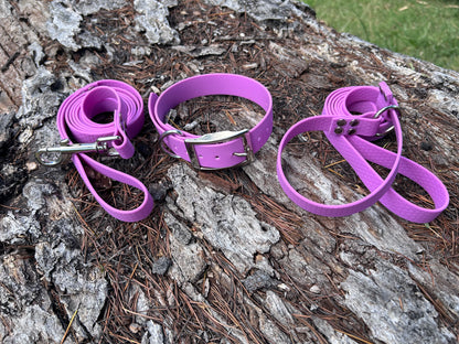 Waterproof Dog Kennel Bundle – Collar Lead and Slip Lead Set | Save 10% Multi-Dog Pack
