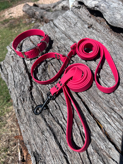 Waterproof Dog Kennel Bundle – Collar Lead and Slip Lead Set | Save 10% Multi-Dog Pack