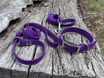 Waterproof Dog Kennel Bundle – Collar Lead and Slip Lead Set | Save 10% Multi-Dog Pack