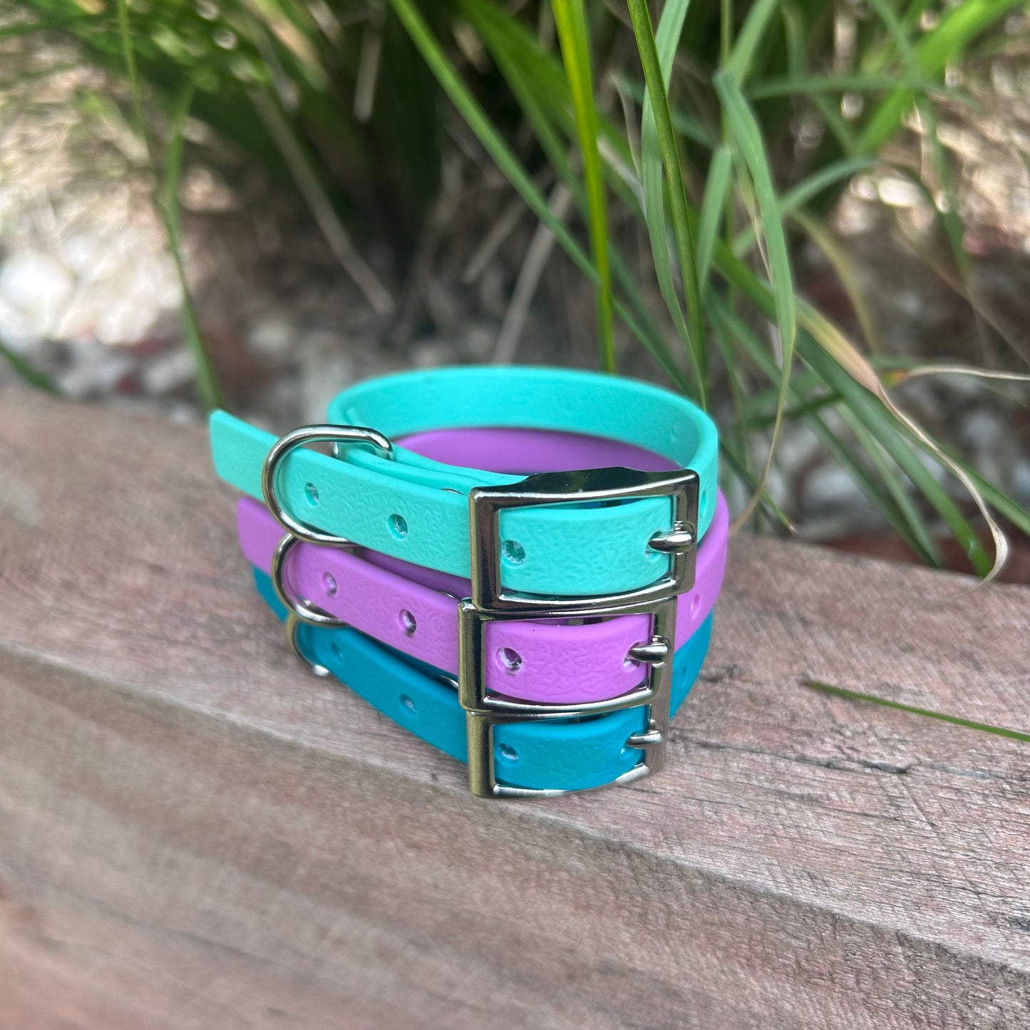 Waterproof PVC Puppy & Toy Dog Collar | Jacaranda Collars