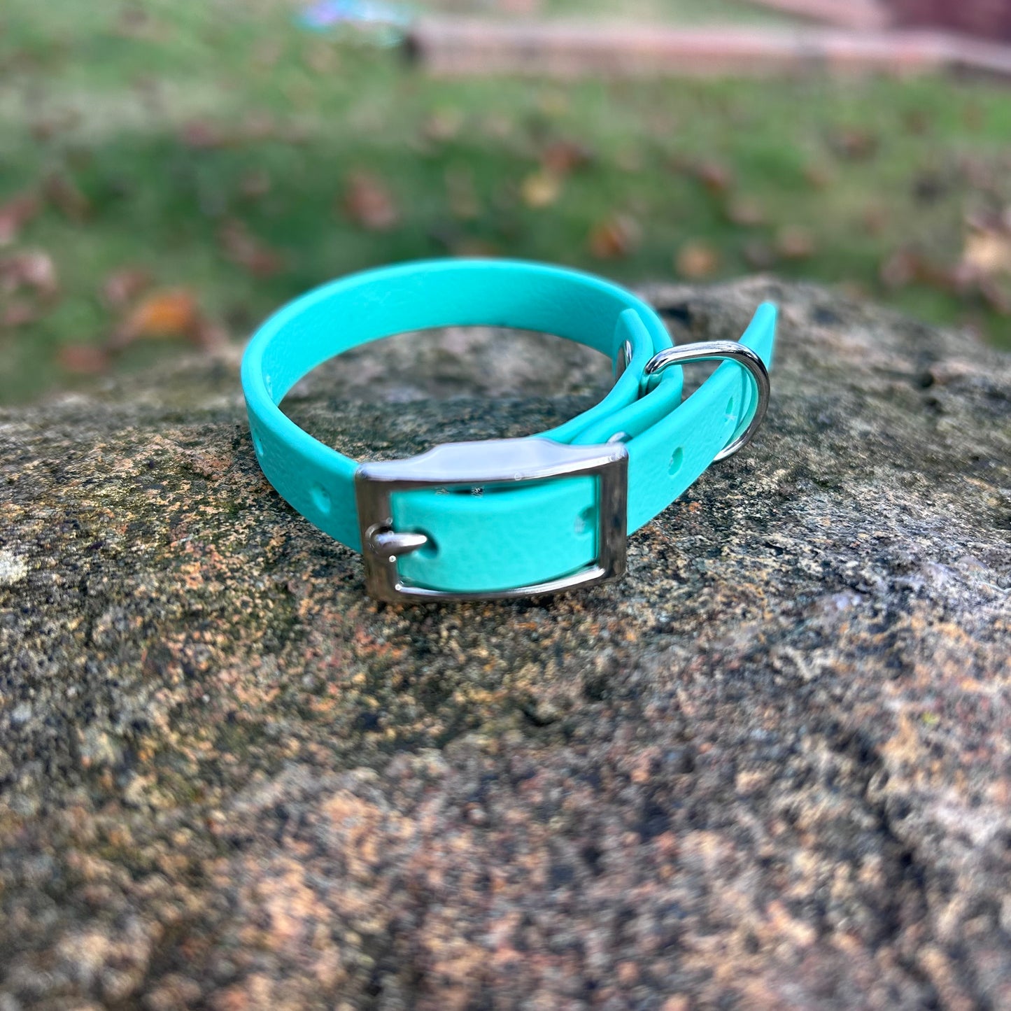 Waterproof PVC Puppy & Toy Dog Collar | Jacaranda Collars
