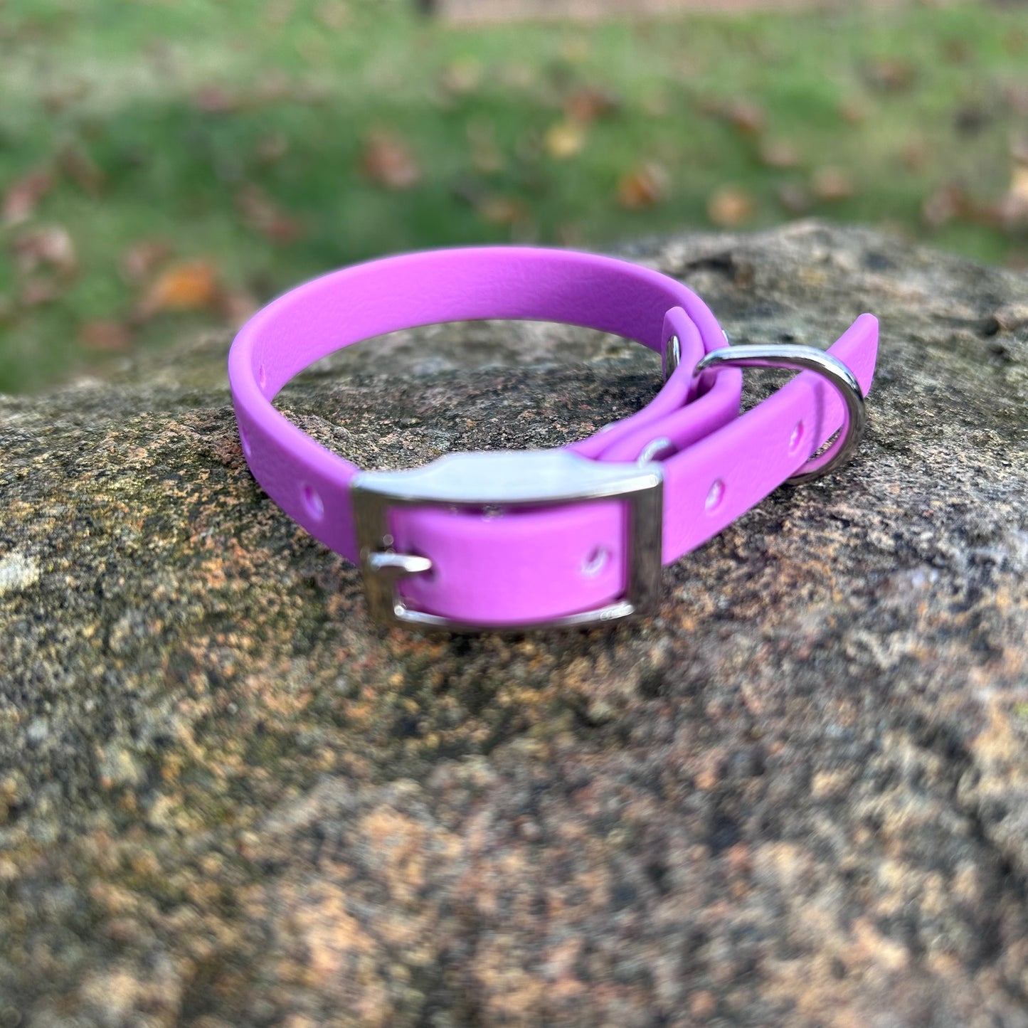 Waterproof PVC Puppy & Toy Dog Collar | Jacaranda Collars