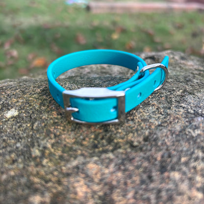 Waterproof PVC Puppy & Toy Dog Collar | Jacaranda Collars