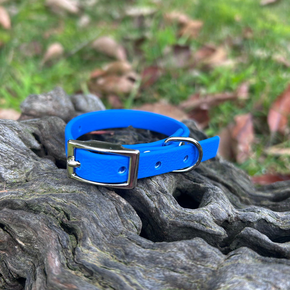 Waterproof PVC Puppy & Toy Dog Collar