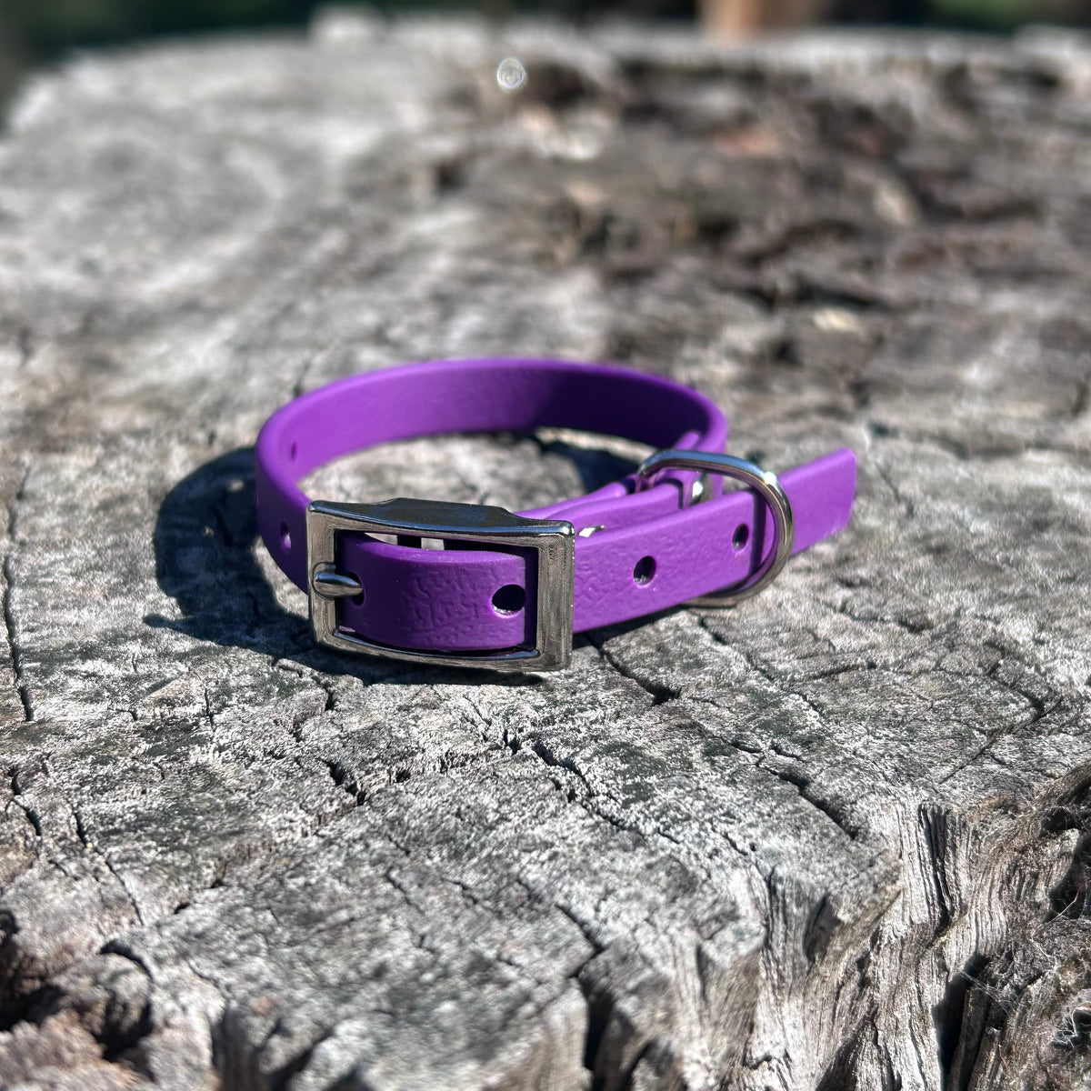 Waterproof PVC Puppy & Toy Dog Collar