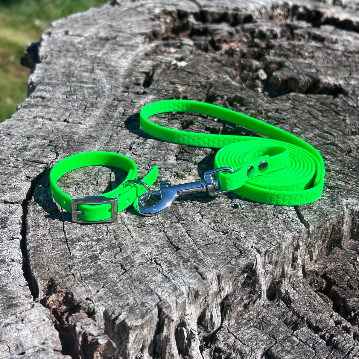 Waterproof PVC Puppy Collar & Lead Set - Save 10%