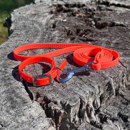 Waterproof PVC Puppy Collar & Lead Set - Save 10%