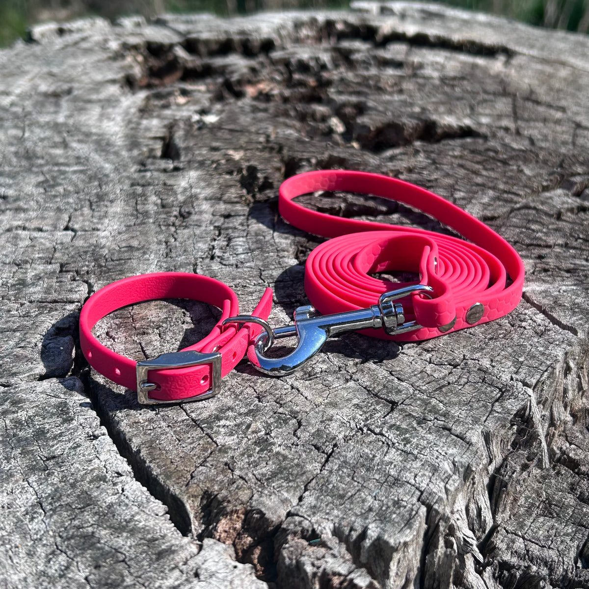 Waterproof PVC Puppy Collar & Lead Set - Save 10%
