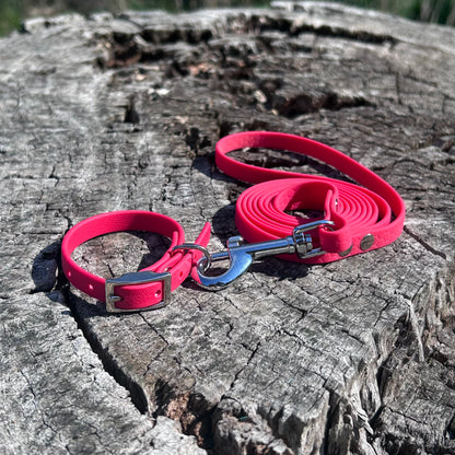 Waterproof PVC Puppy Collar & Lead Set - Save 10%