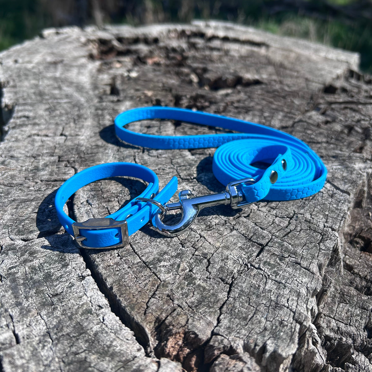 Waterproof PVC Puppy Collar & Lead Set - Save 10%