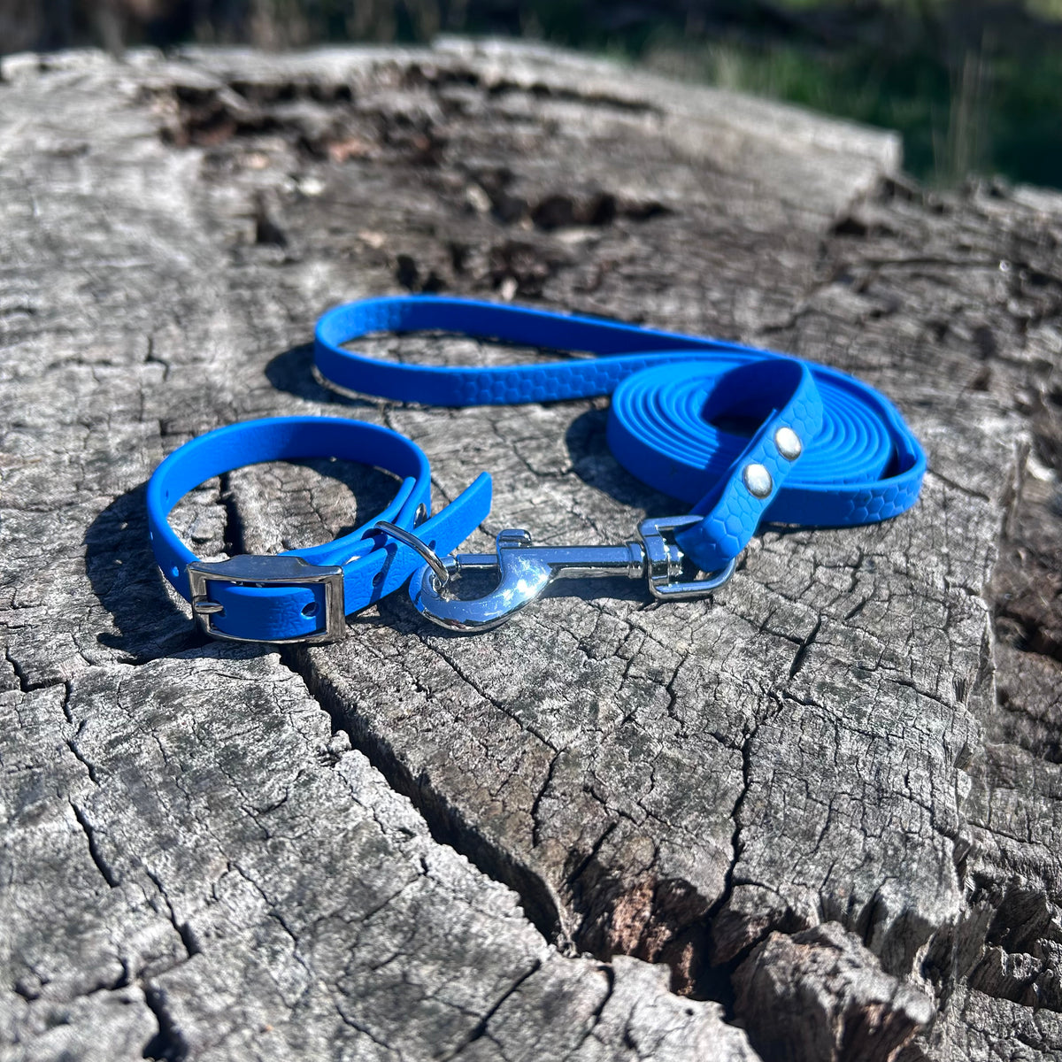 Waterproof PVC Puppy Collar & Lead Set - Save 10%
