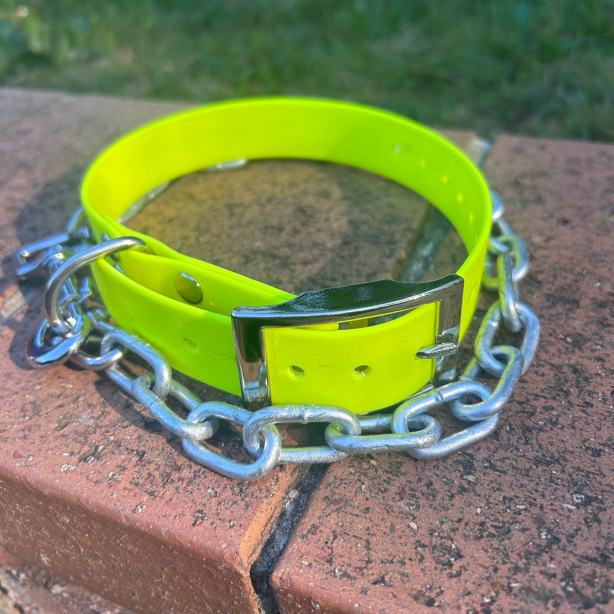 Working Dog Collar with Tie-Up Chain – HP D Ring