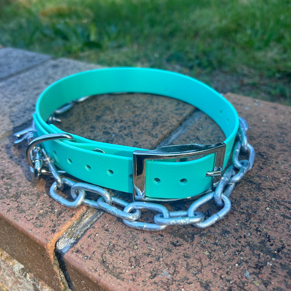 Working Dog Collar with Tie-Up Chain – HP D Ring