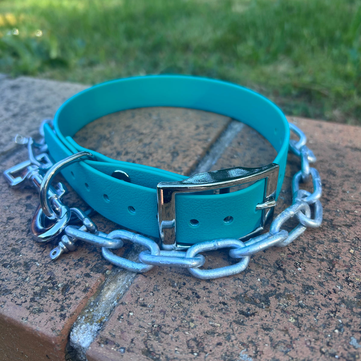 Working Dog Collar with Tie-Up Chain – HP D Ring
