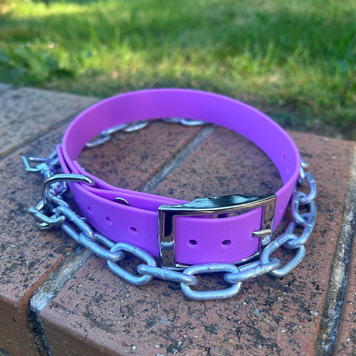 Working Dog Collar with Tie-Up Chain – HP D Ring