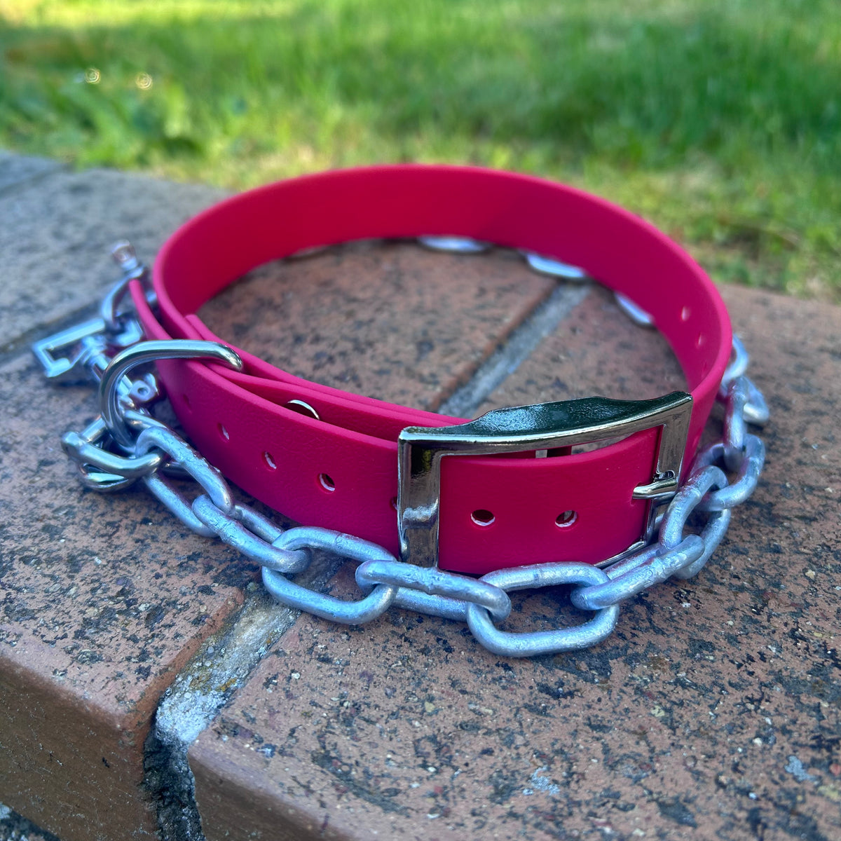 Working Dog Collar with Tie-Up Chain – HP D Ring
