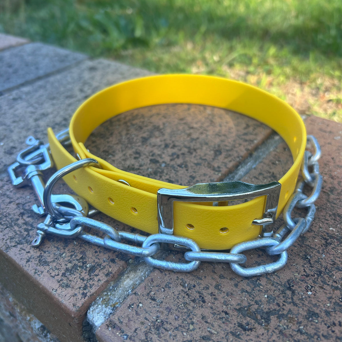 Working Dog Collar with Tie-Up Chain – HP D Ring