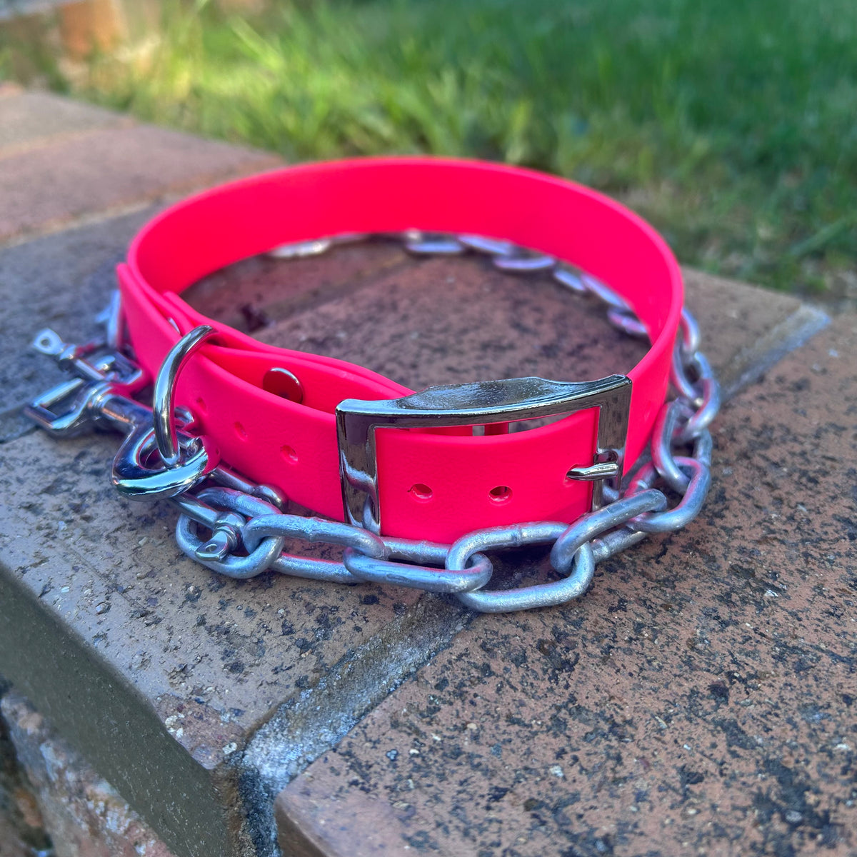 Working Dog Collar with Tie-Up Chain – HP D Ring