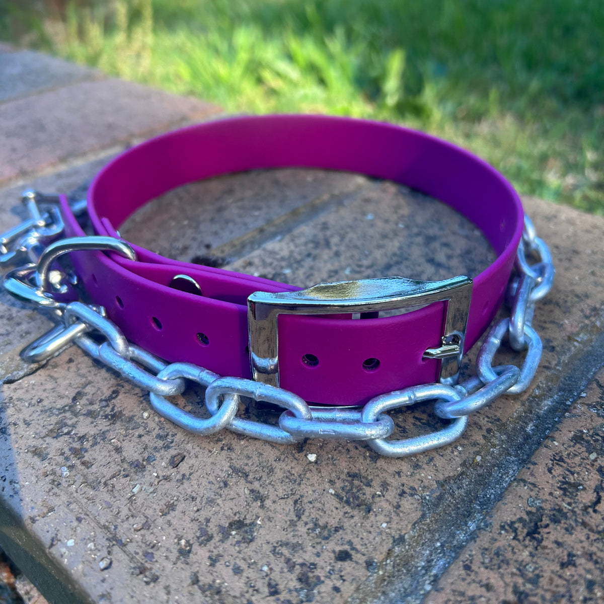 Working Dog Collar with Tie-Up Chain – HP D Ring