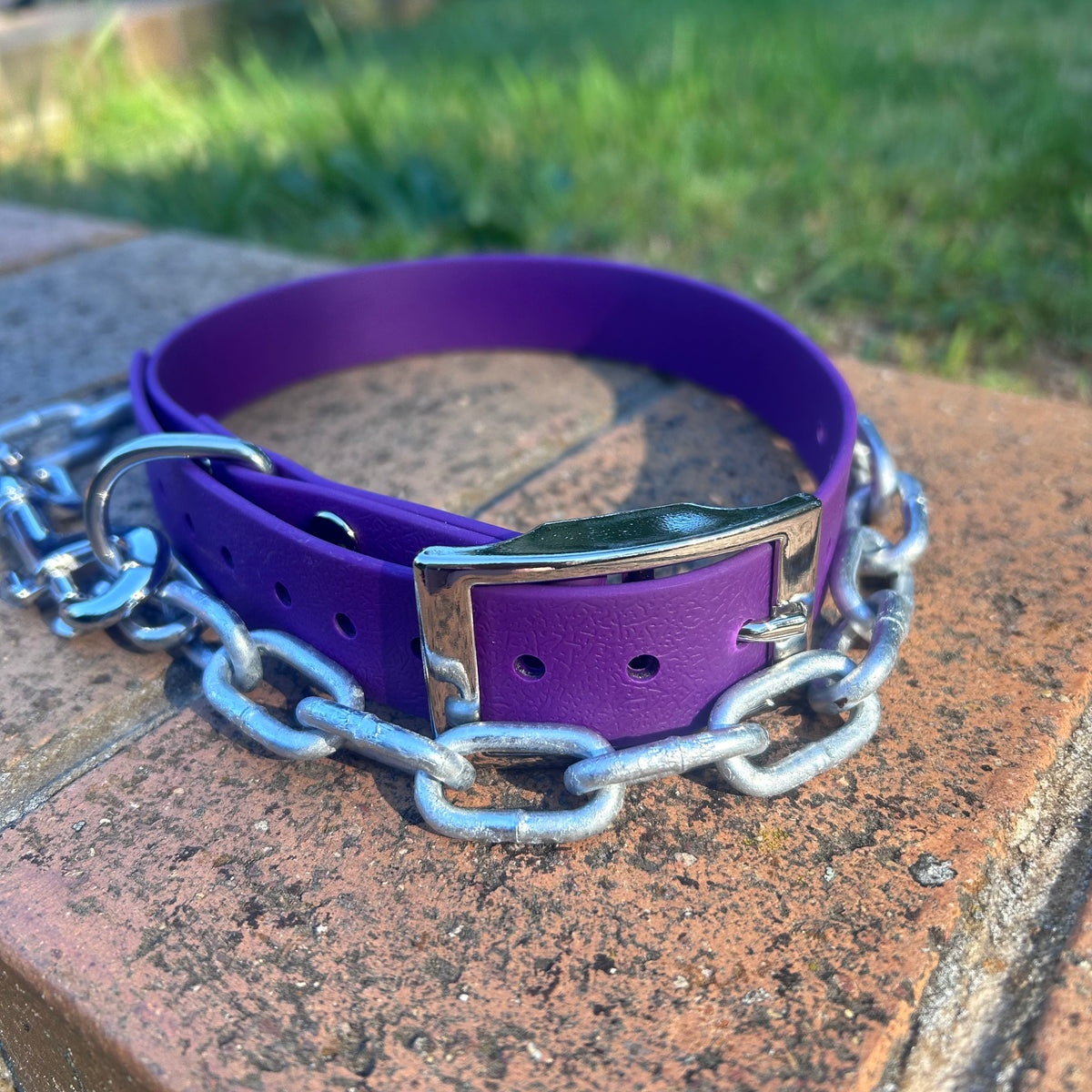 Working Dog Collar with Tie-Up Chain – HP D Ring