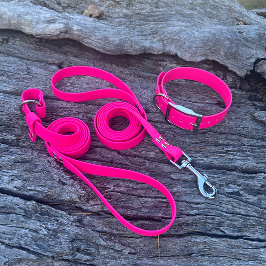 Waterproof Dog Kennel Bundle – Collar Lead and Slip Lead Set | Save 10% Multi-Dog Pack