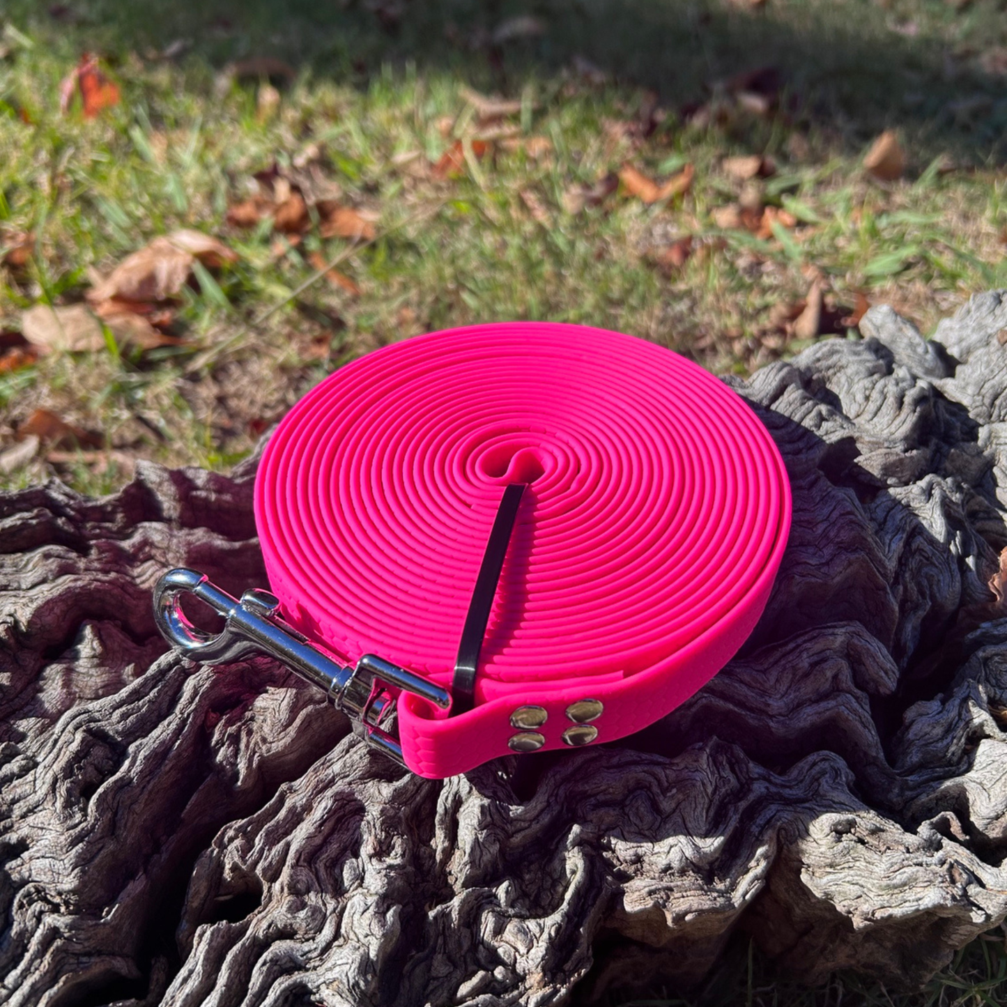 Waterproof Long Line Dog Lead – 5m/8m/10m Recall Training | Australia