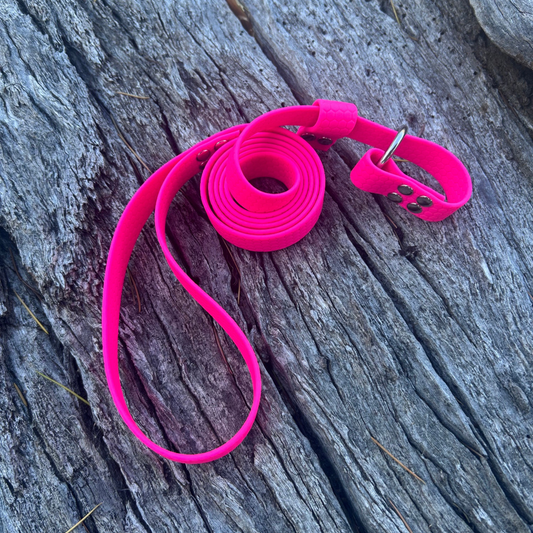 Waterproof Dog Slip Lead – 1.25m | Vet & Training Lead Australia