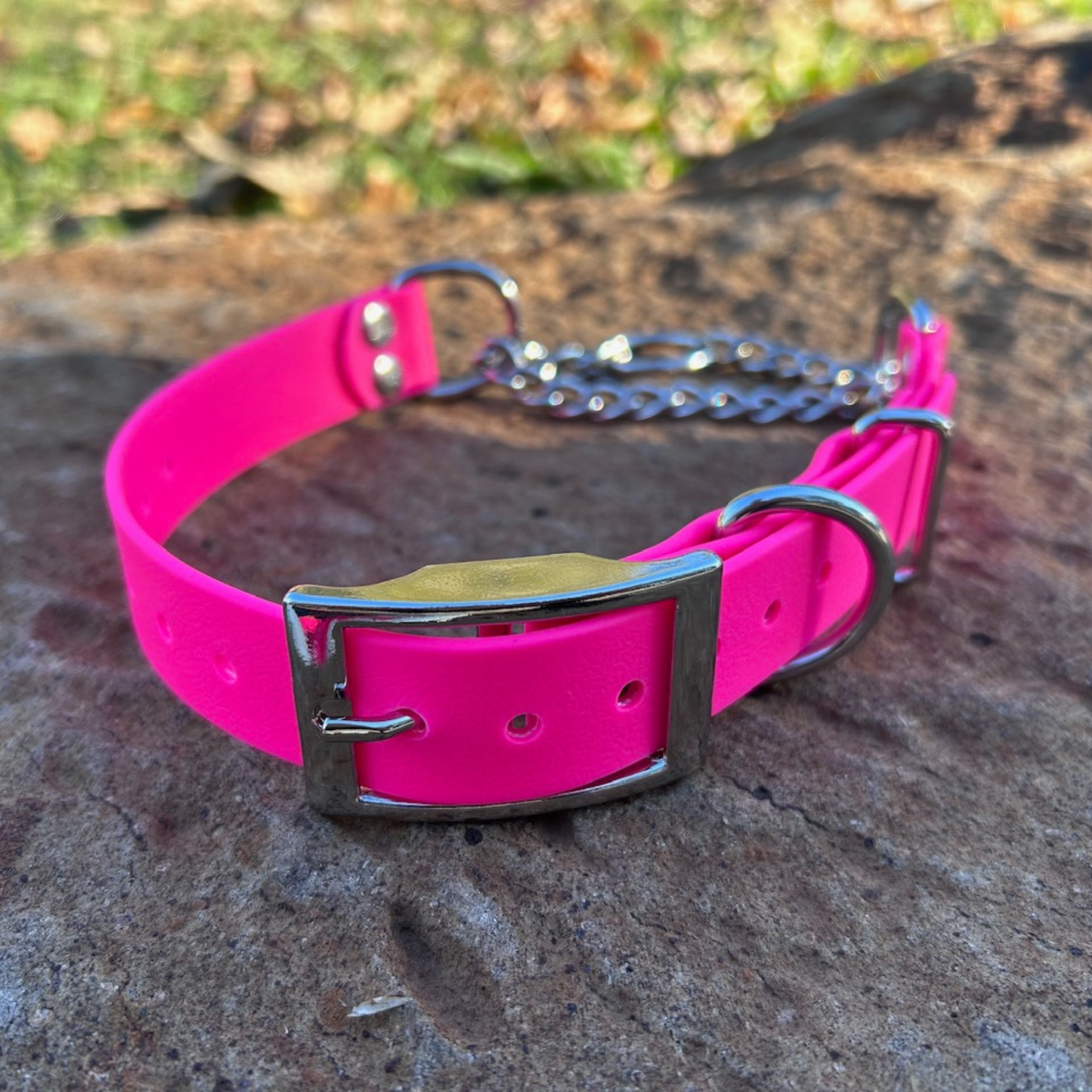 Waterproof Adjustable Martingale Dog Collar – No-Slip | Greyhound Whippet Sighthound