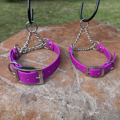 Waterproof Adjustable Martingale Dog Collar – No-Slip | Greyhound Whippet Sighthound