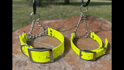 Waterproof Adjustable Martingale Dog Collar – No-Slip | Greyhound Whippet Sighthound