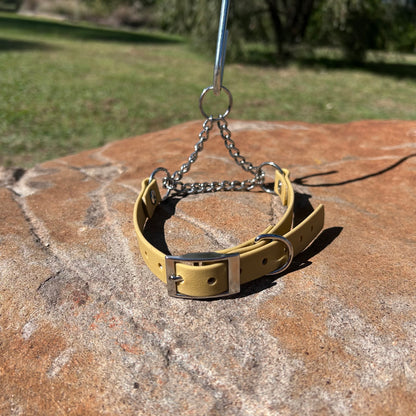 Waterproof Adjustable Martingale Dog Collar – No-Slip | Greyhound Whippet Sighthound