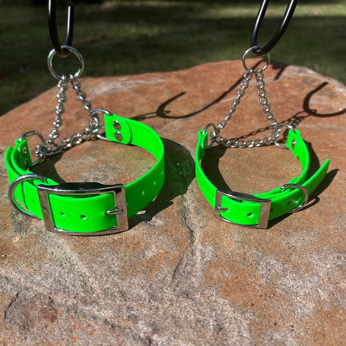 Waterproof Adjustable Martingale Dog Collar – No-Slip | Greyhound Whippet Sighthound