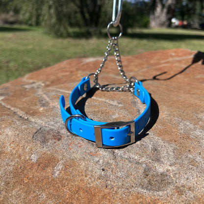 Waterproof Adjustable Martingale Dog Collar – No-Slip | Greyhound Whippet Sighthound