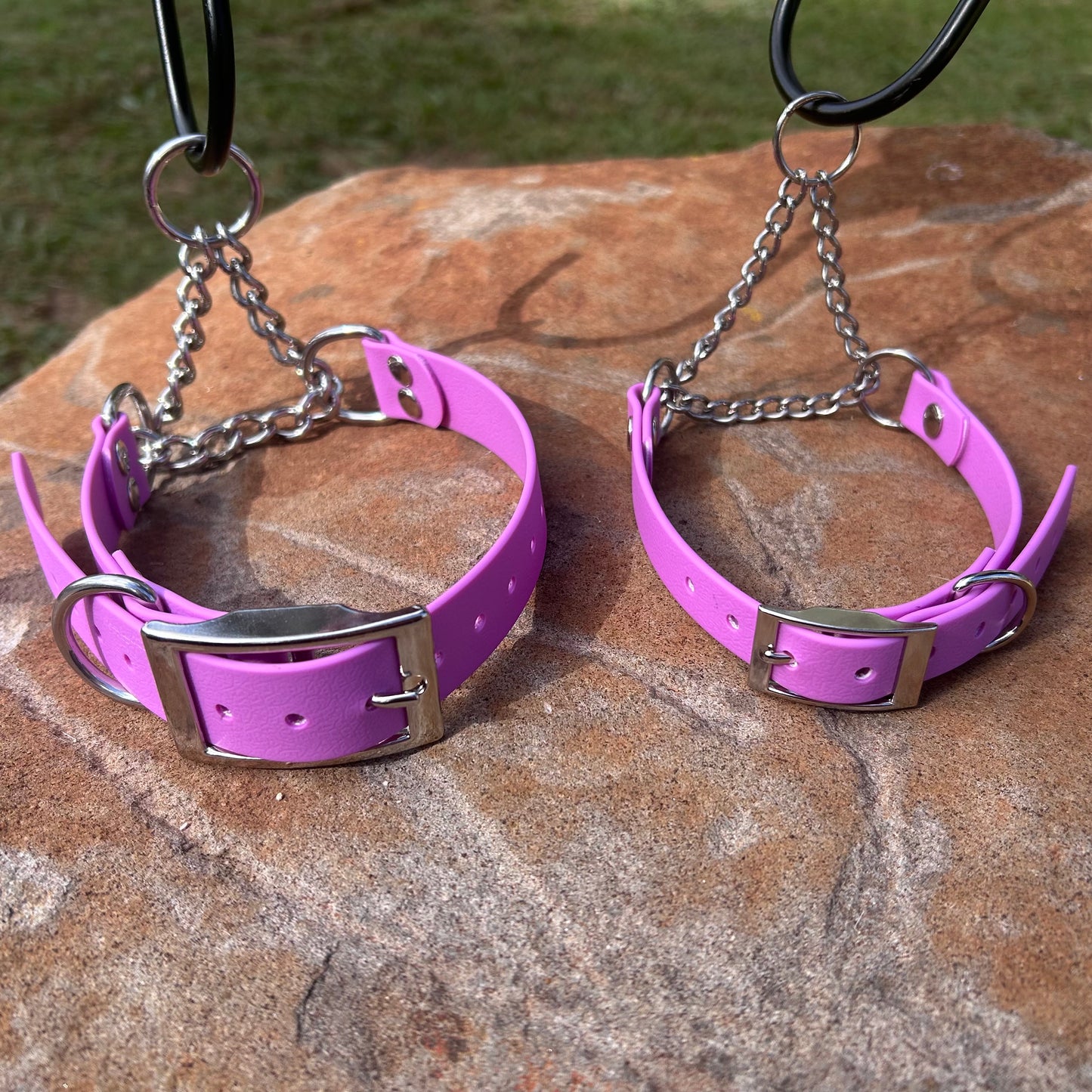 Waterproof Adjustable Martingale Dog Collar – No-Slip | Greyhound Whippet Sighthound