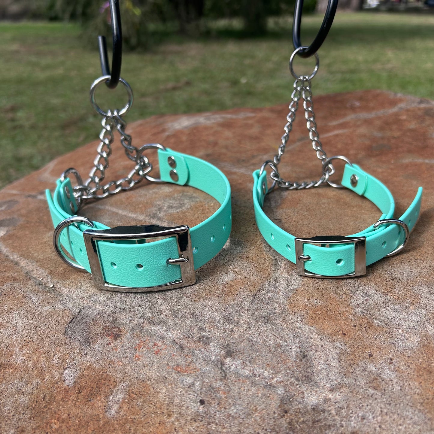 Waterproof Adjustable Martingale Dog Collar – No-Slip | Greyhound Whippet Sighthound