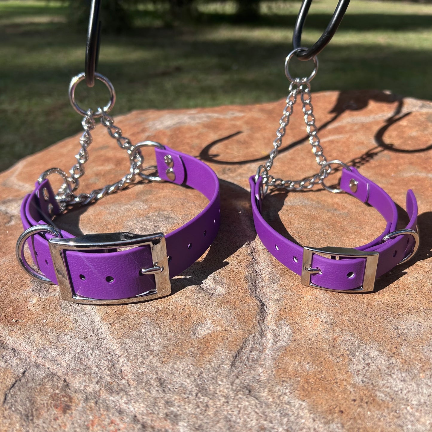 Waterproof Adjustable Martingale Dog Collar – No-Slip | Greyhound Whippet Sighthound